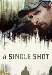 A Single Shot (2013)