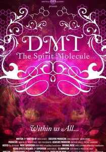 DMT: Molekuła Ducha (2010)