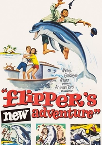 "Delfin: Nowa fala" (1964)