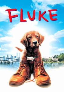 Fluke (1995)