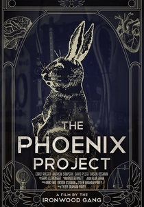 The Phoenix Project (2015)