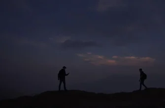 Melodramatyczne Historie Wiolonczelistów