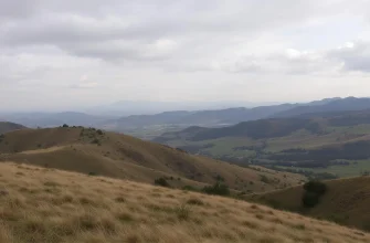 Najbardziej realistyczne filmy o obsesji