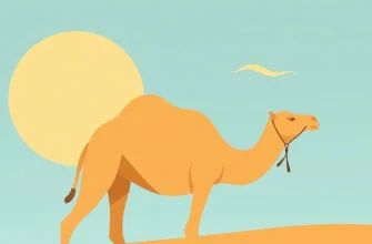 Historyczne Filmy o Transsaharyjskim Handlu